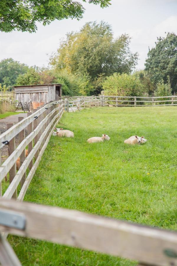 Smallbrook Cottage Broadway  Esterno foto